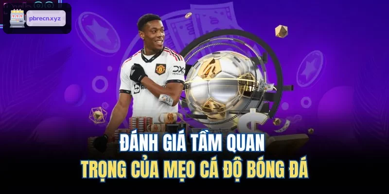 Đánh giá tầm quan trọng của mẹo cá độ bóng đá