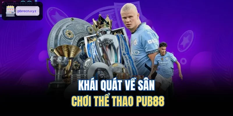 Khái quát về sân chơi thể thao BET88